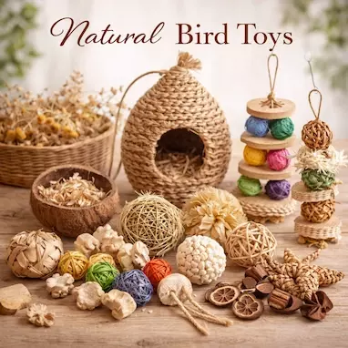 natural bird chew toys with mahogany pods sola atta balls eco friendly toys for parrots wholesale natural bird chew toys with mahogany pods sola atta balls eco friendly toys for parrots wholesale