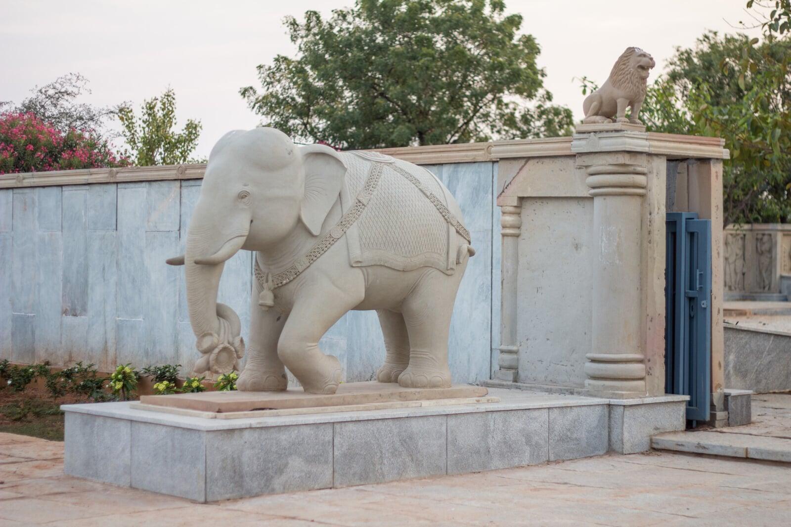 Elephant