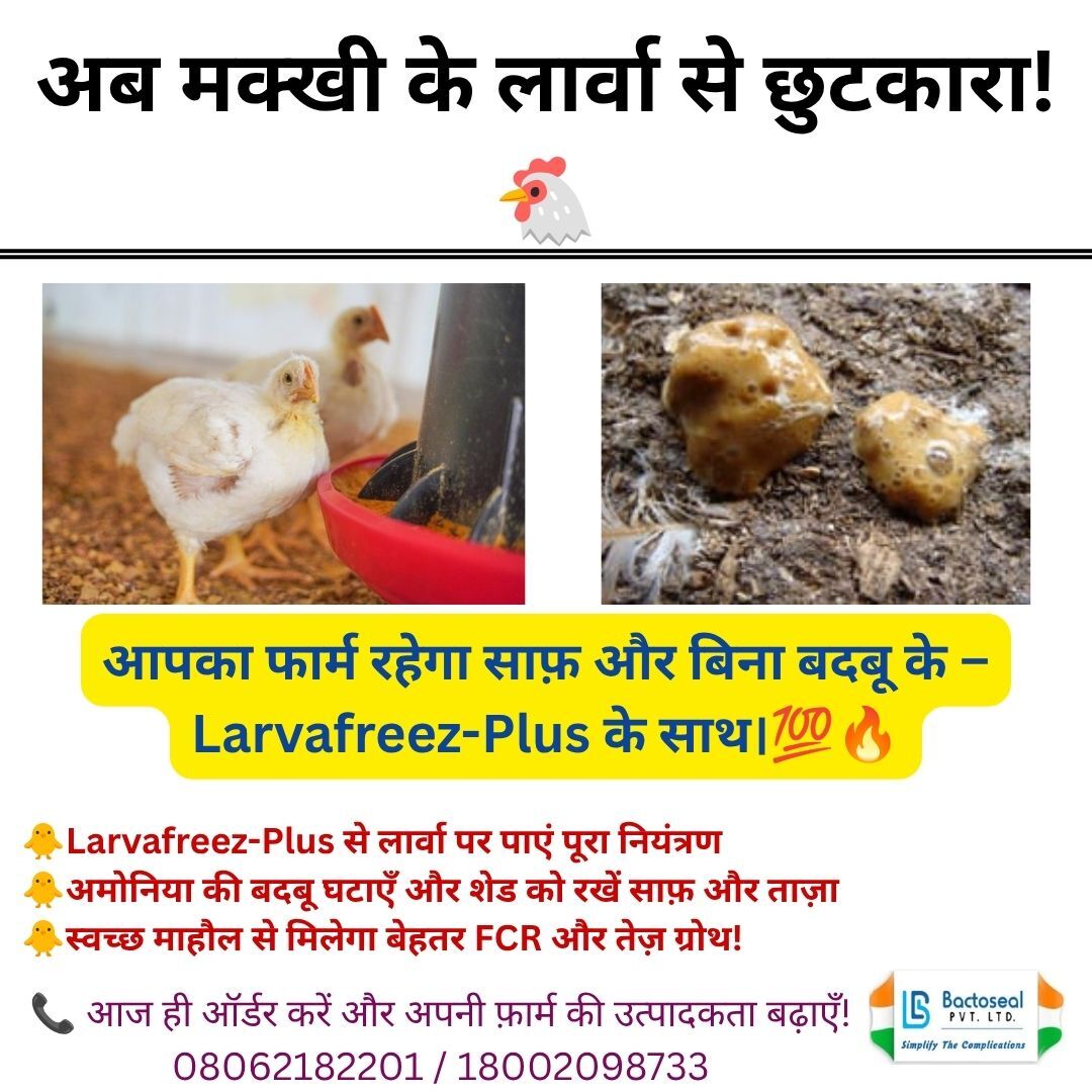 Larvafreez-Plus – Effective Poultry Larvae Control Solution