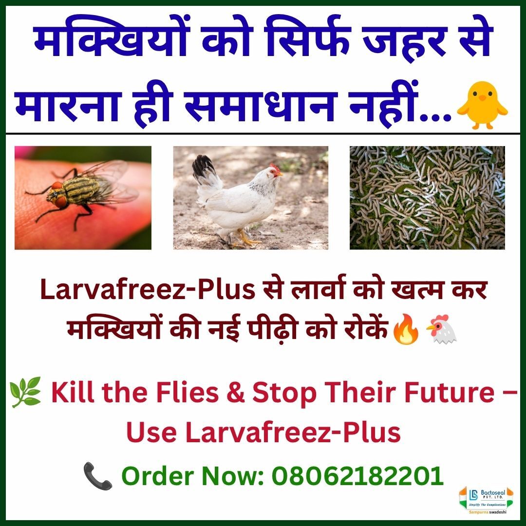 Larvafreez-Plus – Smart Fly & Larvae Management for Poultry Farms