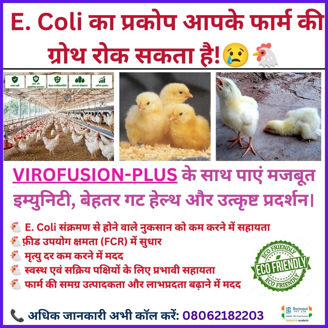 Virofusion-Plus – Advanced E. Coli Protection for Poultry