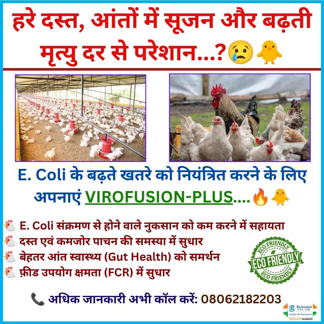 Virofusion-Plus – Healthy Gut, Lower Mortality & Better Performance