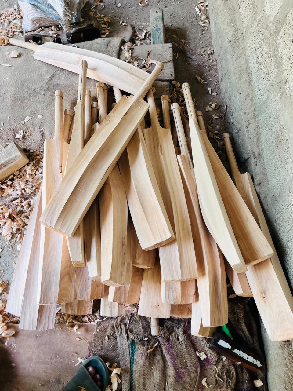 selected willow only