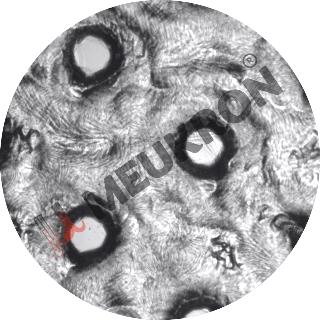 Micro-channels on Glass Wafers