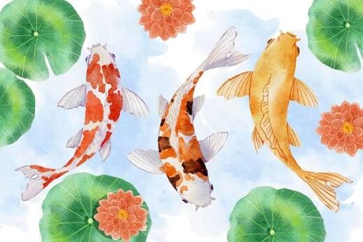 Koi Fish Paintings