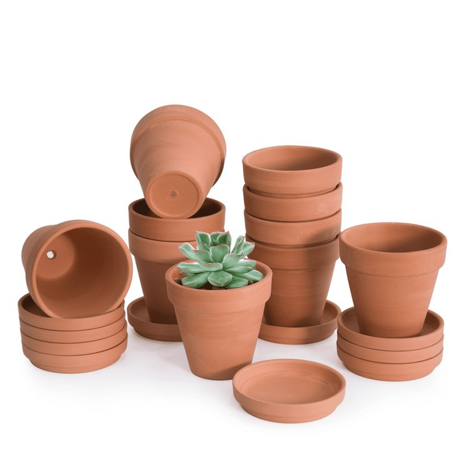 pot pot