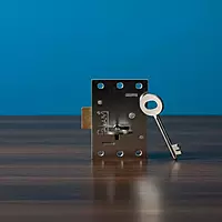 (5503) Palam Bhatia Lock Mini 4L Brass