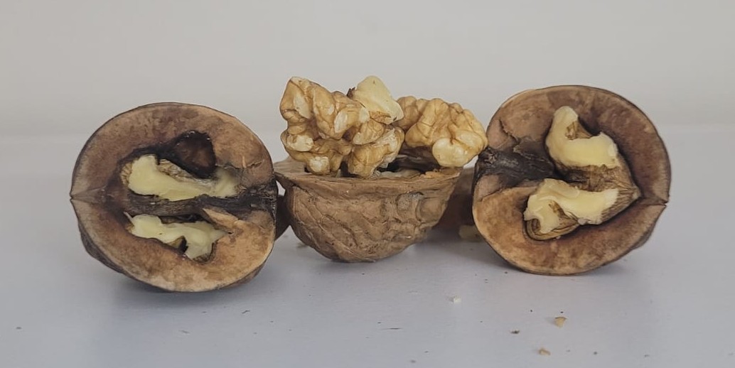Himachal Premium Walnut with shell