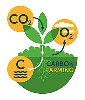 Agroforestry Carbon Sequestration Program