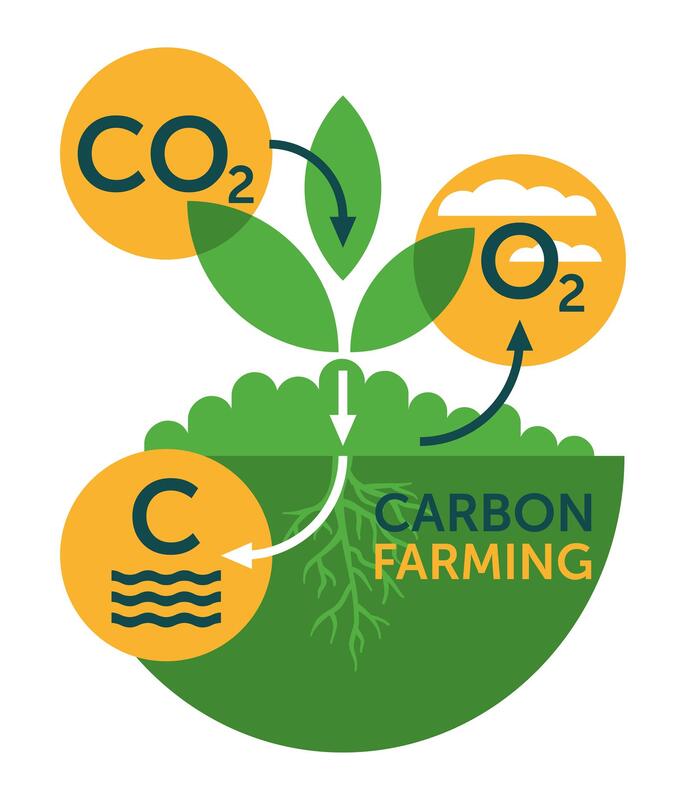 Agroforestry Carbon Sequestration Program