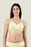 PACK OF 2 - AURA EVERYDAY BRA WIVA - ASSORTED