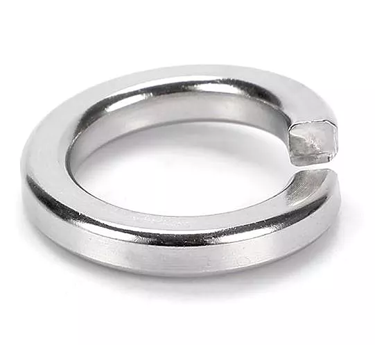 M8 Spring Lock Washer SS- 1 qty