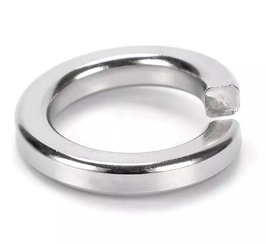 M8 Spring Lock Washer SS- 1 qty