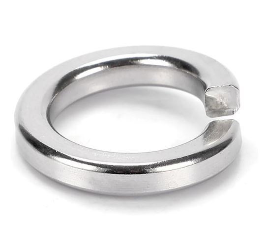 M8 Spring Lock Washer SS- 1 qty