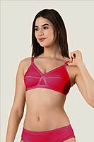 PACK OF 2 - AURA EVERYDAY BRA WIVA - ASSORTED