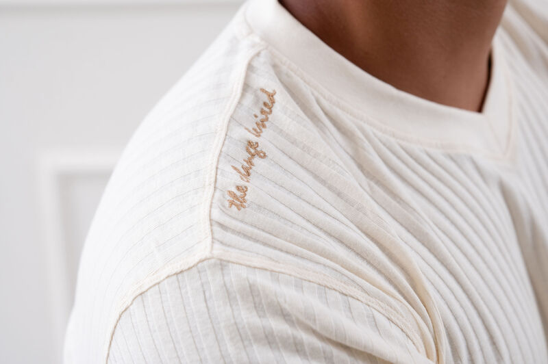 Being Winged - Gender Free V neck Tee (Male)