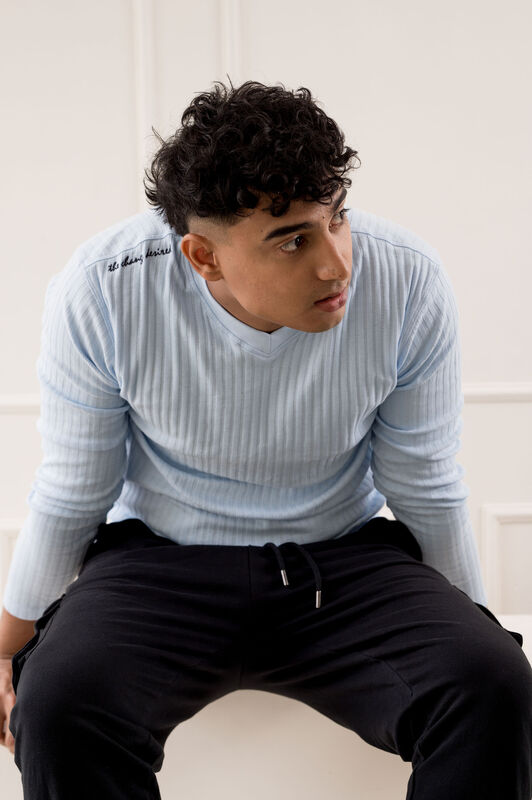 Being Winged - Gender Free V Neck Tee (Male)