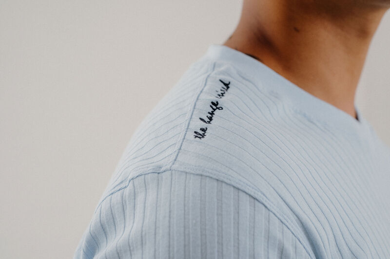 Being Winged - Gender Free V Neck Tee (Male)