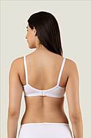 PACK OF 2 - AURA EVERYDAY BRA WIVA - ASSORTED