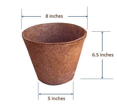 Coir Pots - 6.5 & 8