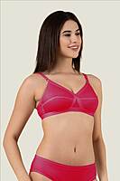 PACK OF 2 - AURA EVERYDAY BRA WIVA - ASSORTED