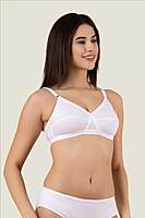 PACK OF 2 - AURA EVERYDAY BRA WIVA - ASSORTED