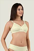 PACK OF 2 - AURA EVERYDAY BRA WIVA - ASSORTED