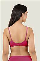 PACK OF 2 - AURA EVERYDAY BRA TERA - ASSORTED
