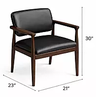 Fern Dining Arm Chair