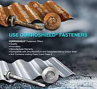 SS Self Drilling Screw-2-inch