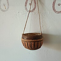 Coconut Shell Planters