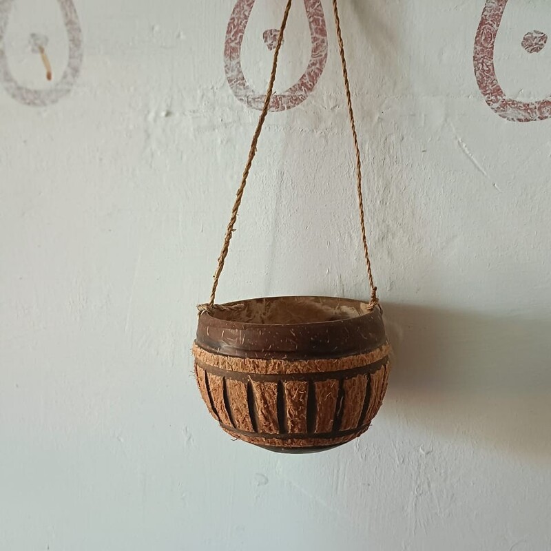 Coconut Shell Planters