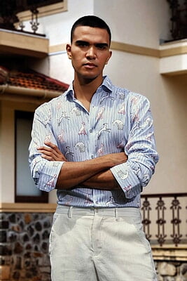 Tropical Dream Shirts Tropical Dream Shirts