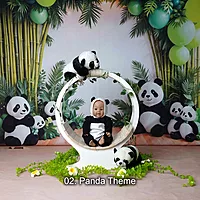 Studio Package (33 Themes)