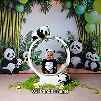 Studio Package (33 Themes)