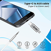 EVM CAUX-01 USB C to 3.5mm AUX Cable - Black