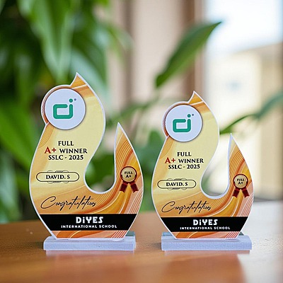 MW-400L 24CM(8MM+12MM)