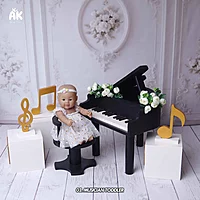 Studio Package (50 Themes)