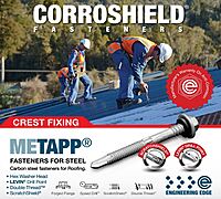 SS Self Drilling Screw-2-inch