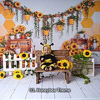 Studio Package (33 Themes)