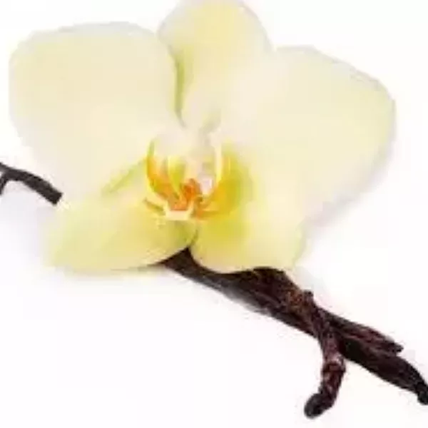 IFF TRUSIL – Vanilla Special – 030040
