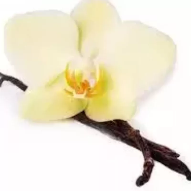 IFF TRUSIL – Vanilla Special – 030040
