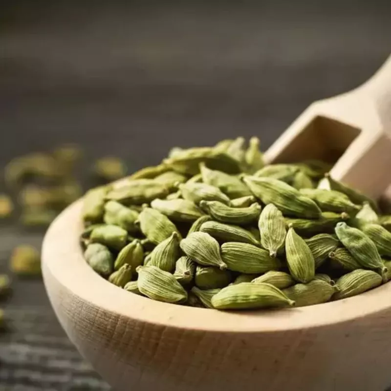 IFF TRUSIL – Cardamom Special – 030120
