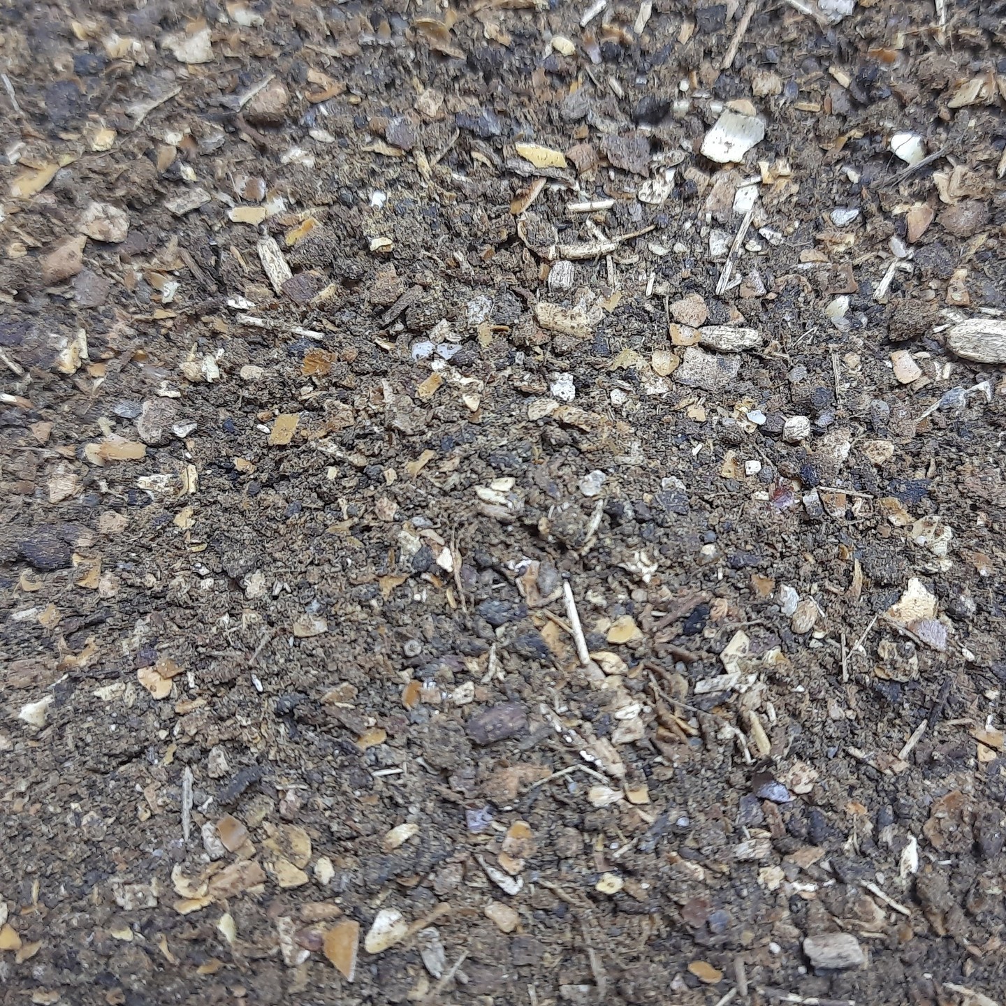 500gms Neem Seed Powder (From Raw Seeds-No Oil Extracted)