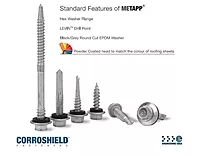 SS Self Drilling Screw-2-inch