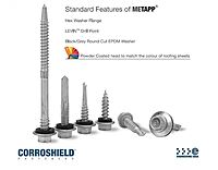 SS Self Drilling Screw-2-inch