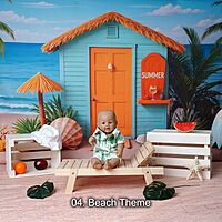 Studio Package (33 Themes)