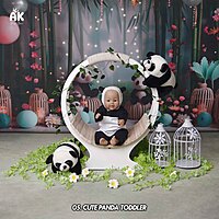 Studio Package (50 Themes)