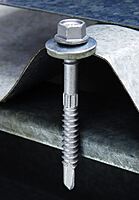 SS Self Drilling Screw-2-inch