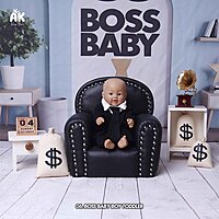 Studio Package (50 Themes)